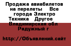 Продажа авиабилетов на перелеты  - Все города Электро-Техника » Другое   . Владимирская обл.,Радужный г.